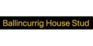 Ballinacurrig House Stud