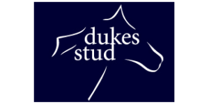 Dukes Stud